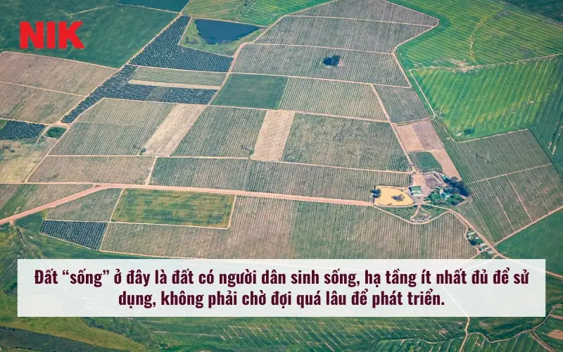 ĐẦU TƯ ĐẤT NỀN Ở ĐÂU CÓ LÃI? 10 KINH NGHIỆM ĐẦU TƯ ĐẤT NỀN CẦN BIẾT 8 10 KINH NGHIỆM ĐẦU TƯ ĐẤT NỀN