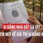 VI BẰNG NHÀ ĐẤT