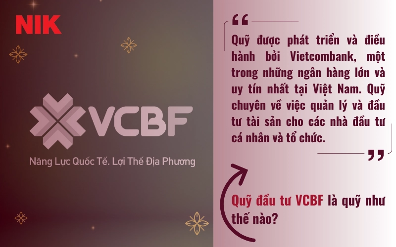 CÁC QUỸ ĐẦU TƯ TẠI VIỆT NAM
