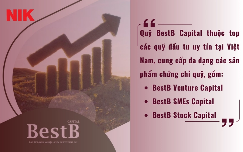 CÁC QUỸ ĐẦU TƯ TẠI VIỆT NAM