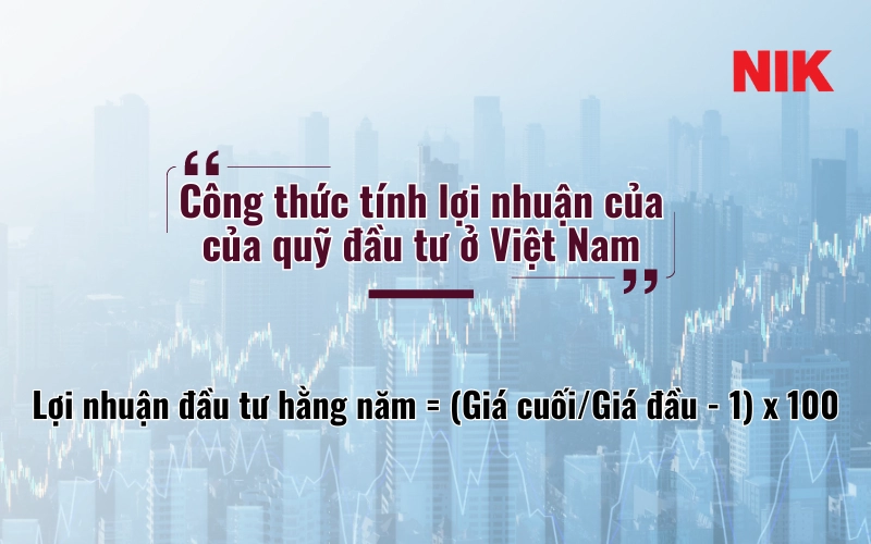 CÁC QUỸ ĐẦU TƯ TẠI VIỆT NAM