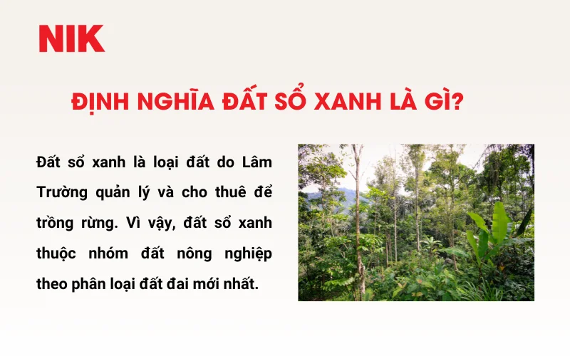 ĐẤT SỔ XANH LÀ GÌ