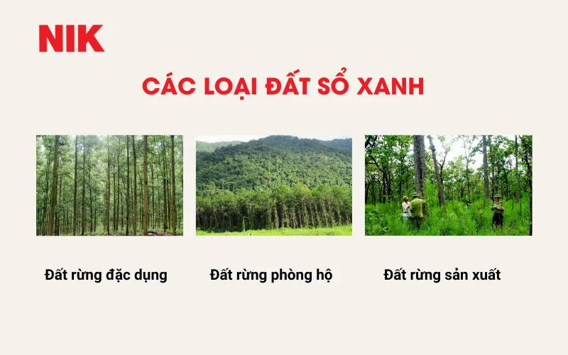 ĐẤT SỔ XANH LÀ GÌ