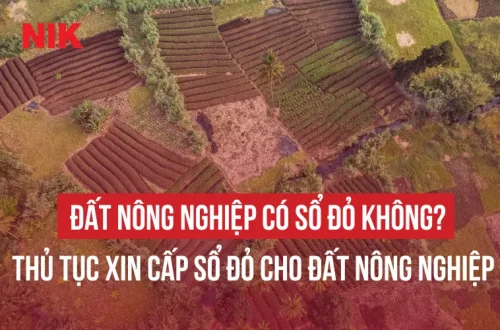 ĐẤT NÔNG NGHIỆP CÓ SỔ ĐỎ KHÔNG?