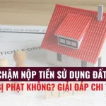 CHẬM NỘP TIỀN SỬ DỤNG ĐẤT CÓ BỊ PHẠT KHÔNG?